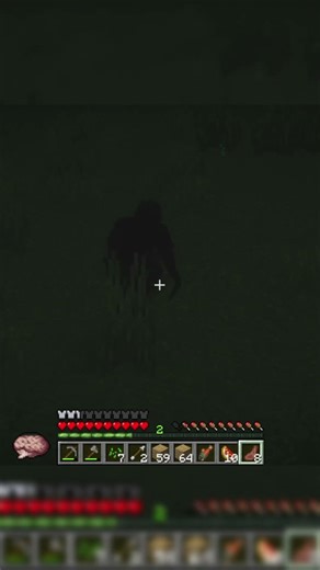 What is bro doing?? #minecraft #horror
