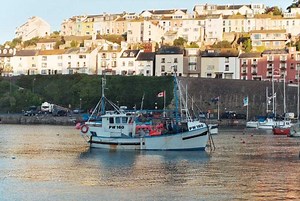 IFM position on the Fisheries Bill | Commercial Fishing | Fish Focus