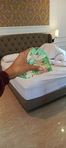 Tip Lambang Pahlawan dari Negara Asia | R17 60k #room #hotel #tips #tourism #asia | BangIlham Enjang