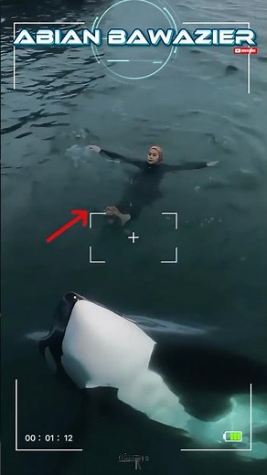 Orca Whale! Amazing moment footage