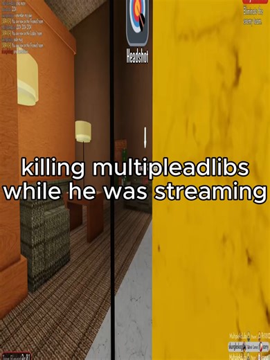 Exploring Framed Gameplay in Roblox and Cruelty Squad