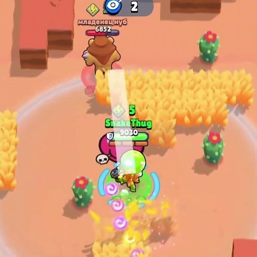 Cordelius Rank 35 Quick Guide (Solo Showdown)