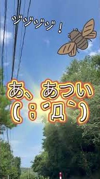 【トレーニング】真夏の有酸素・無酸素運動でしっかり身体作り #ダイエット #筋トレ