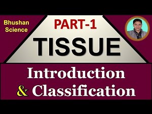Part 1 : Tissue Level of Organization | Tissue Introduction (Hindi) | B. Pharm | Nursing | Medical