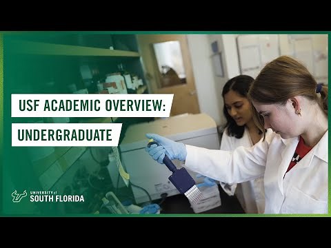 USF Academic Overview: Undergraduate | University of South Florida