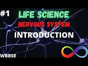 NERVOUS SYSTEM | INTRODUCTION | LIFE SCIENCE | WBBSE | PART 1