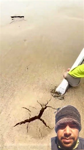 Beach Treasure Hunt 🌊 | Catching Sandworms for Fishing #Fishing #Shorts