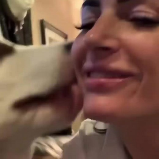 would love to get kisses like those 🥰 #doglicks #dogkisses #dog #dogkissesface #doglicksmyface #doglicks #doglicksface #dogs #dogsoftiktok #cute