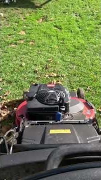 Toro time master 30 leaf clean up #toro #timemaster30 #leaf #cleanup #mowing #fall