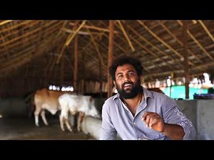 Ksheera Organic Milk - Introducing Our Cattle's , Hebbevu Farms A Fully Managed Farm Land Bangalore