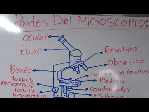 Partes del Microscopio