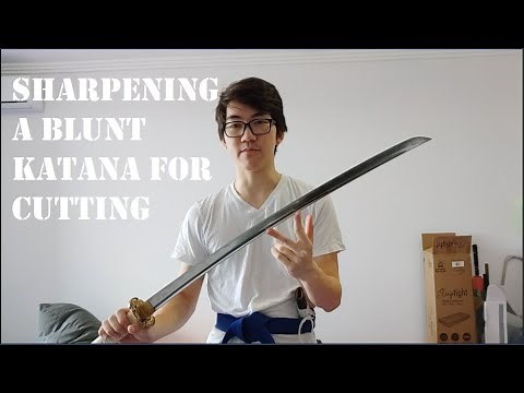 Sharpening a blunt training blade and cutting pool noodles [katana tameshigiri]