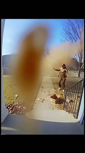 Package Thief Gets a Shocking Surprise!