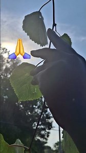 Lets 🙏
