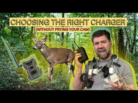 Fixing a 'Dead' Cell Cam: Voltage, Amps & a Simple Power Test