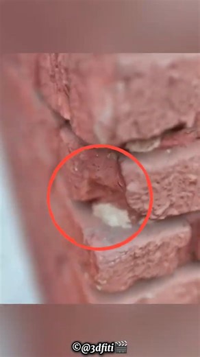 Road Crack Secret #facts #shortsfeed