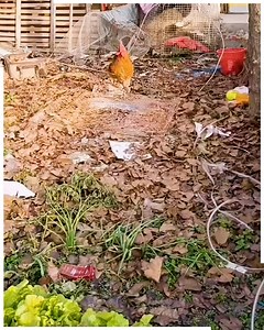 1.1K views | Nylon Net Mesh: The Backbone of Multiple Industries. #nylonnetmagic #meshmastery | Viral trends | Facebook