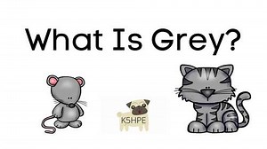 What Is Grey? Identifying Objects by Color, Video and SLIDES