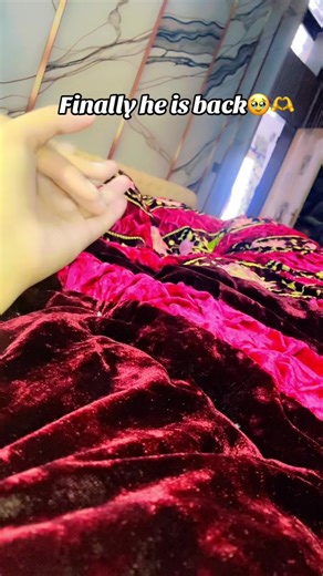 Heartwarming Reunion of a Cute Couple