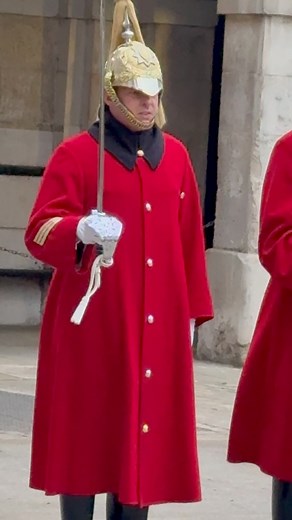 15 reactions | The 4 O’Clock Inspection: Maintaining excellence to the last moment. #fbreels #horseguards | Around London | Facebook