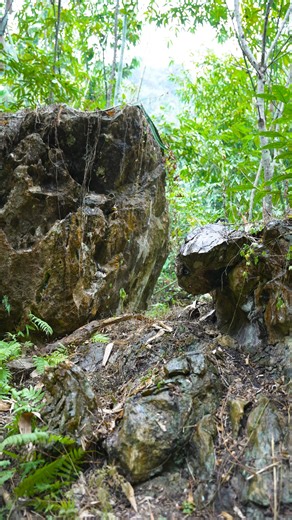 How to start a fire in the forest #camping #bushcraft #survival #shelter #outdoors | Bushcraft Master