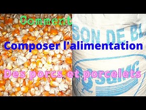 comment composer l'aliment des porcs
