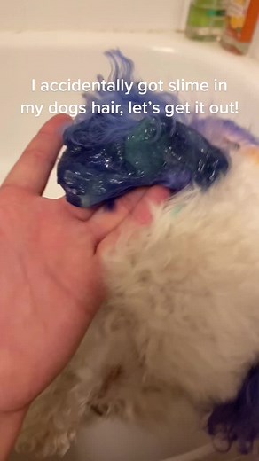 How to Remove Slime from Dog Hair: Expert Tips and Tricks
