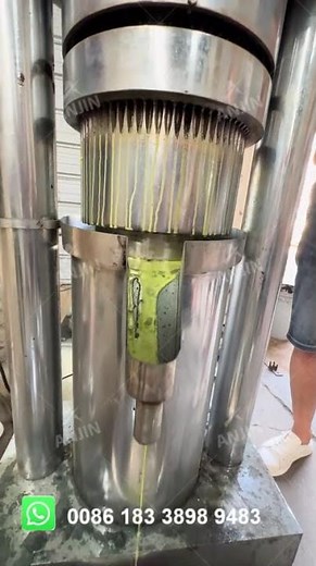 Automatic Avocado Oil Pressing Machine Cold Press Hydraulic Oil Extraction Machine