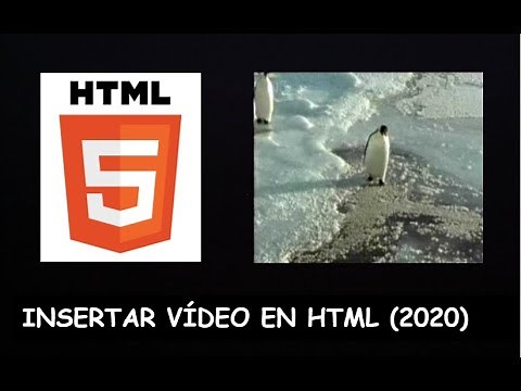 Cómo Poner un VÍDEO en HTML que se Reproduzca SOLO (2024) 🎥