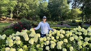 All hydrangeas are on sale 20% off, both at the garden center & online. Online sale runs from July 12 - July 16, with the code HYDRA. Garden center sale runs this Wednesday - Saturday (July 9 - 12) 🛍️ Join our FREE Loyalty Rewards Program here https://bit.ly/4gqWXeS 🌼 Shop Creekside's Online Store https://bit.ly/3sSRiut 📩 Sign up for our emails here! https://bit.ly/3uXq6MB 🪴 Companies We Partner With 🪴 Power Planter Garden Augers & Drills http://bit.ly/3ZZ98GY Hoselink https://bit.ly/3Cdb74