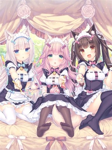 Exploring TADC Theory: The Abstraction Connection