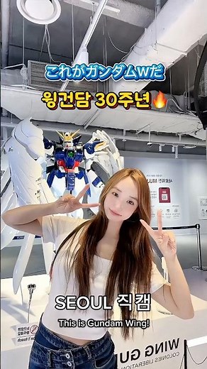 윙건담 30주년 서울 직캠! 🔥 ガンダムW30周年！ソウル直撮🔥祝福 #ガンダムW30周年 #seoulvibes