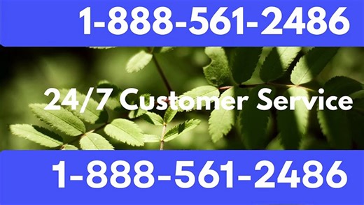 {Full} List of Official Coinbase® phone™ Numbers USA CAre