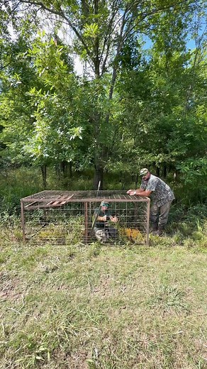 🦞 Things are changing on the crawfish farm. Farms across the state are starting to drain their ponds, just like we are right now. That is normal for this time of year. But some farms are still producing, and as we move deeper into summer, we also start relying more on wild-caught crawfish out of the Atchafalaya Basin. So what has changed? The biggest change is that from here on out, we will only have Field Run crawfish available. But since crawfish are no longer being graded into separate sizes