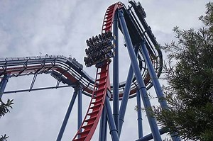 Planning a Day at Busch Gardens Tampa? Our Roaring Guide Will Get You Excited