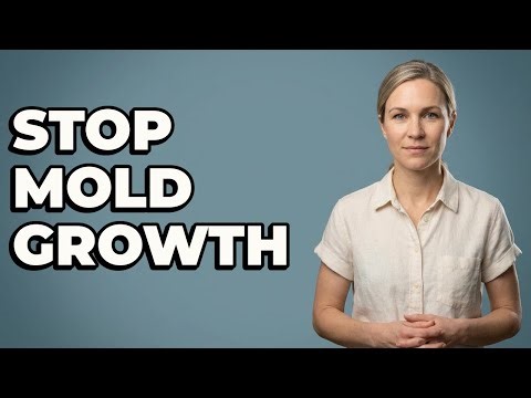 What Insulation Prevents Mold On Cold Walls?