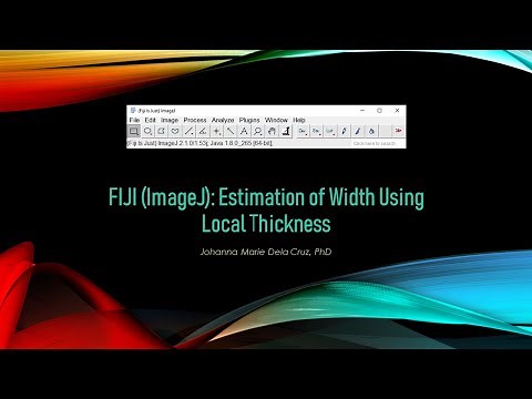 FIJI (ImageJ): Estimation of Width Using Local Thickness