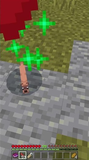 Weasel Pet in Minecraft BE/PE