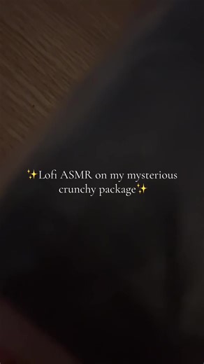 Crunchy Lofi ASMR Experience