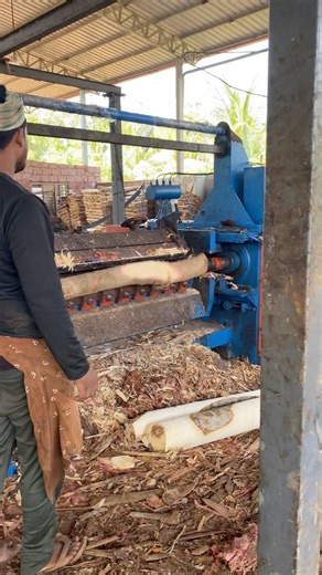 How wood peeling machine work part 53 #woodworking #wood #machine