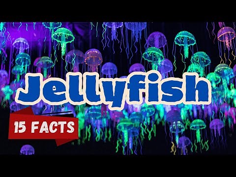 15 Fascinating Jellyfish Facts for Kids | Fun and Educational Ocean Adventure #jellyfishfacts