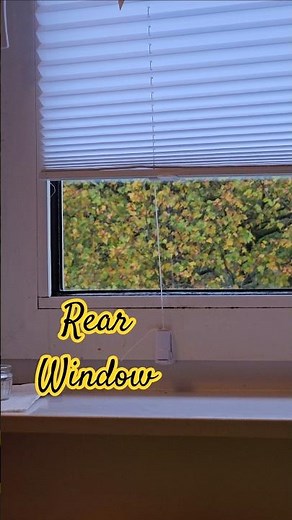 View from the Window #autumn #herbst #autumncolors #herbstfarben #leaves #window #fenster #reels