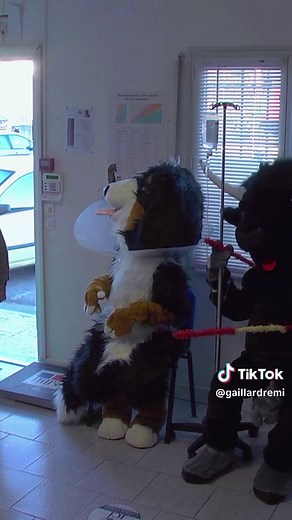 Rémi Gaillard : Humor and Pranks with Animals