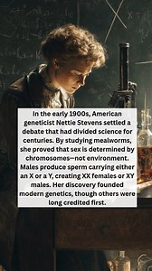 228K views · 3.9K reactions | Nettie Stevens discovered sex chromosomes. #womeninscience #herstory #DidYouKnow #reels #fyp | She's So Cool | Facebook