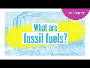 🌍 What Are Fossil Fuels? (⛏️ Coal, 🛢️ Oil & 🔥 Natural Gas) | Fossil Fuels 101 | TVO Learn