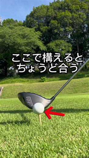 その構え「ヒール確定」