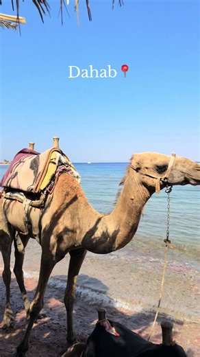 Dahab Blue Lagoon Egypt: What to See and Do in Dahab