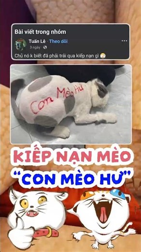 Con Mèo bị xăm chữ lên người ??! #threads #topcomment #funny #memes #mèo #pets
