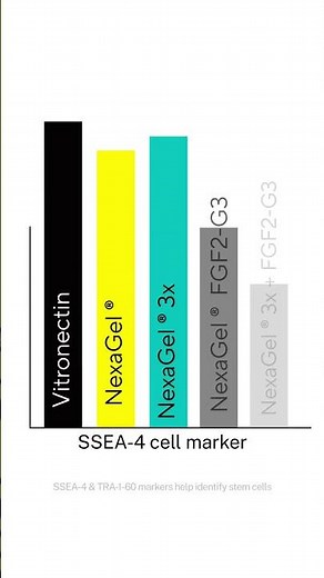 Revolutionizing iPSC Culture with NexaGel® STEM