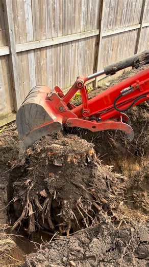 Efficient Tree Root Removal with Excavator! Fast, clean, and safe root extraction for landscaping, grading, or construction prep. If you have stubborn roots, dead trees, or need clean site prep — OCC has you covered. 📍 Serving Toronto, Markham, Richmond Hill, North York DM for a free estimate! #LandscapingToronto #ExcavationToronto #TreeRemovalToronto #RootRemoval #LandscapingGTA #ExcavationGTA #MarkhamLandscaping #RichmondHillLandscaping #SitePreparation #BackyardRenovation #ContractorToronto